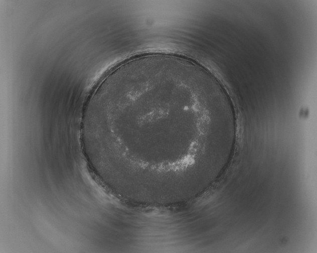 X0000111170434200907151303