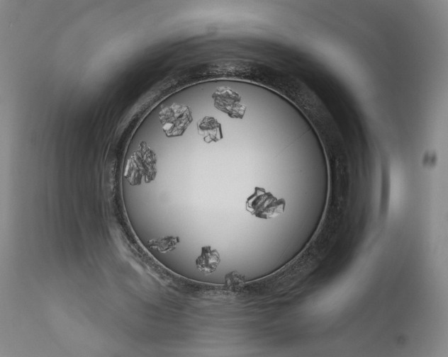 X0000111170435200907151303