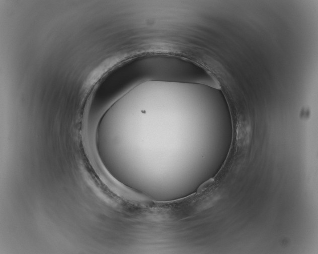 X0000111170436200907151303