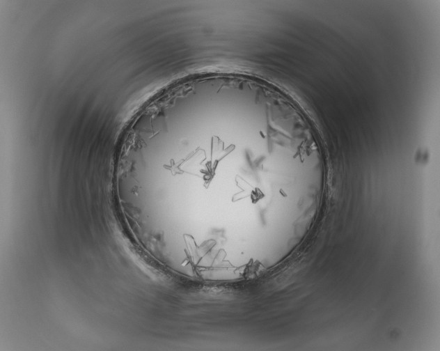 X0000111170437200907151303