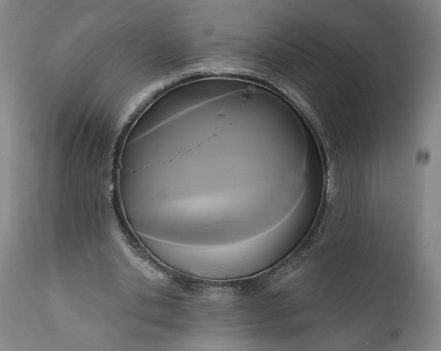 X0000111170438200907151303