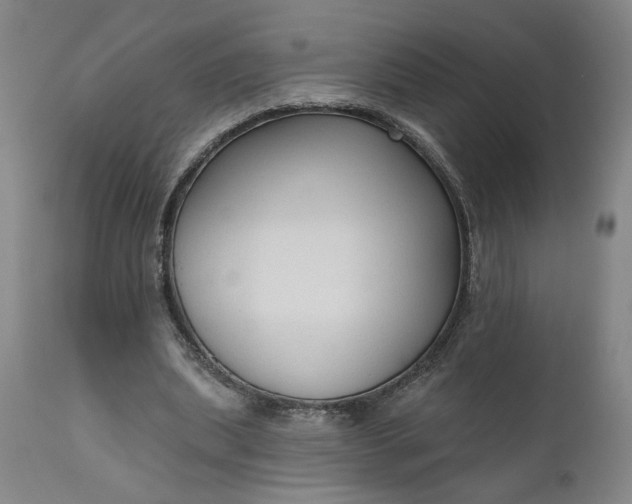 X0000111170439200907151303