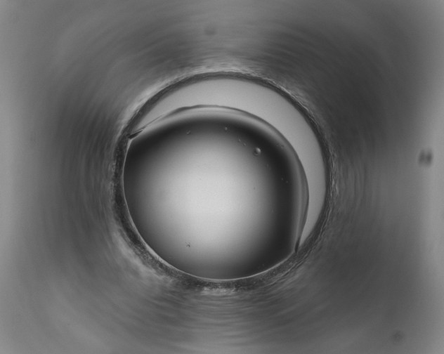 X0000111170440200907151303