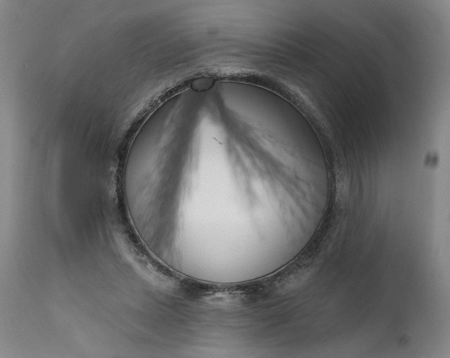 X0000111170447200907151303