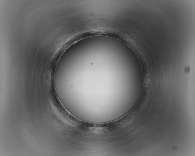 X0000111170448200907151303