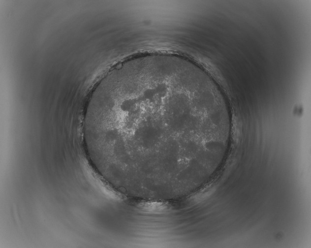 X0000111170449200907151303