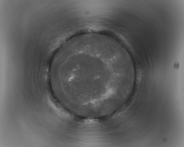 X0000111170451200907151303