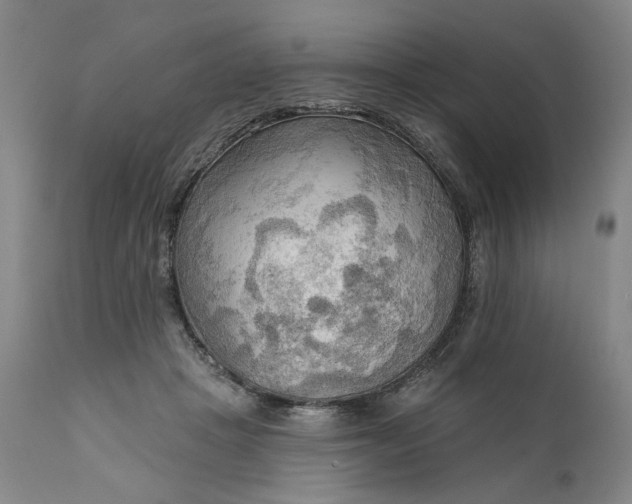 X0000111170457200907151303