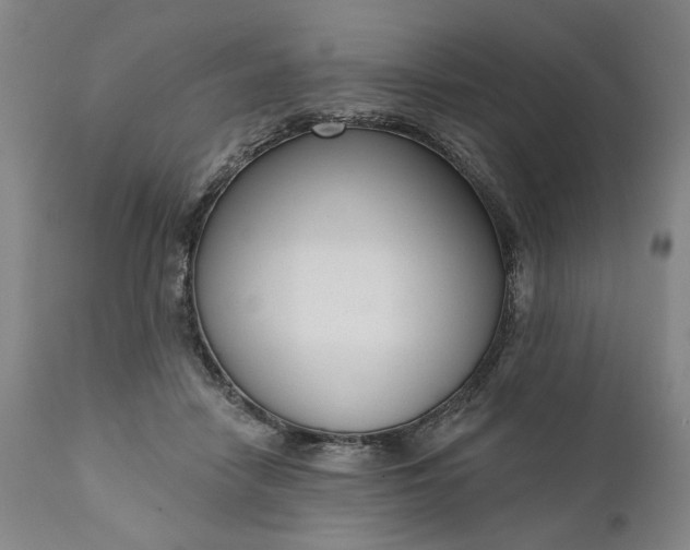 X0000111170458200907151303