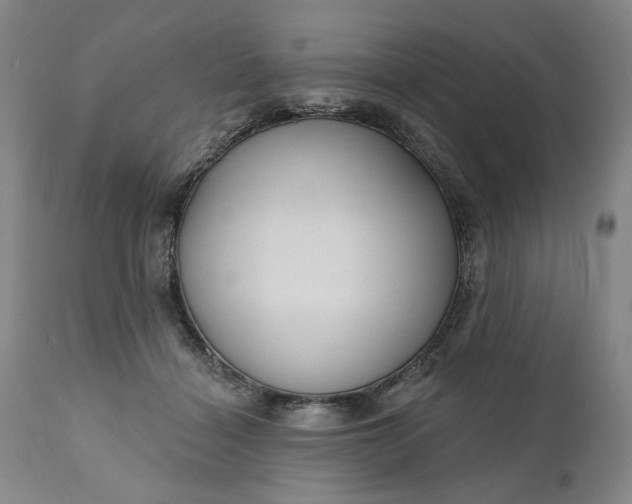 X0000111170460200907151303