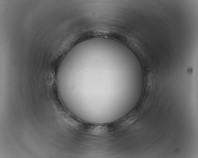 X0000111170463200907151303