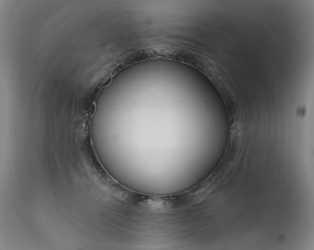 X0000111170464200907151303