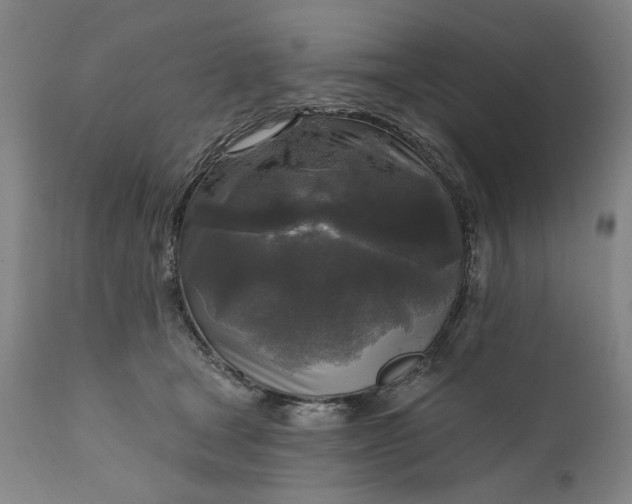 X0000111170465200907151303