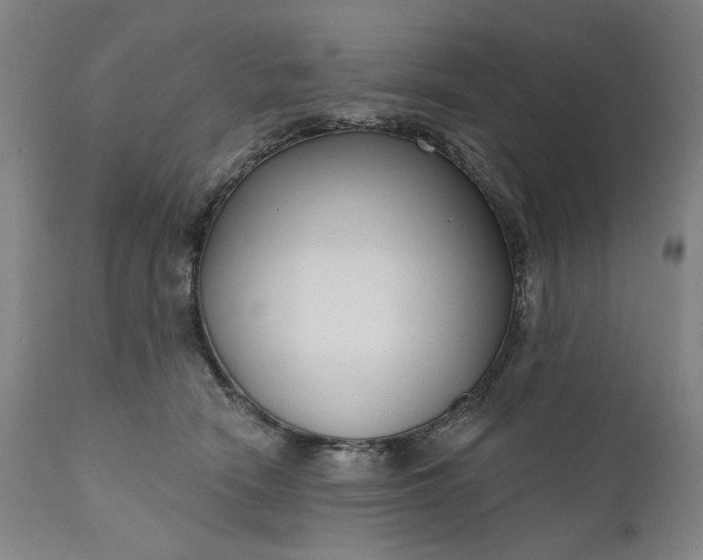 X0000111170466200907151303