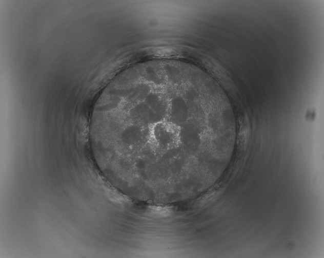 X0000111170469200907151303