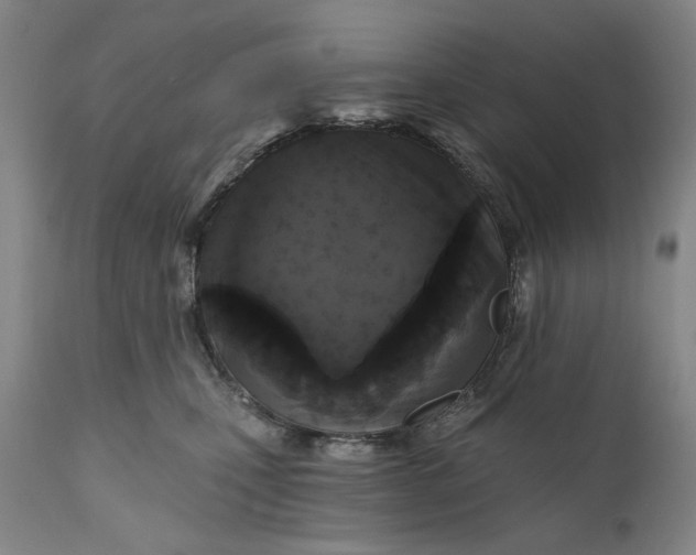 X0000111170471200907151303