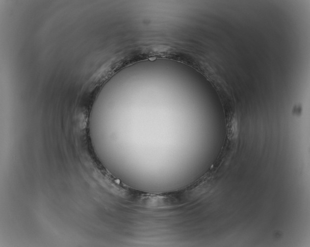 X0000111170472200907151303