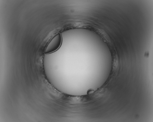 X0000111170473200907151303