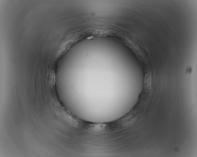 X0000111170474200907151303