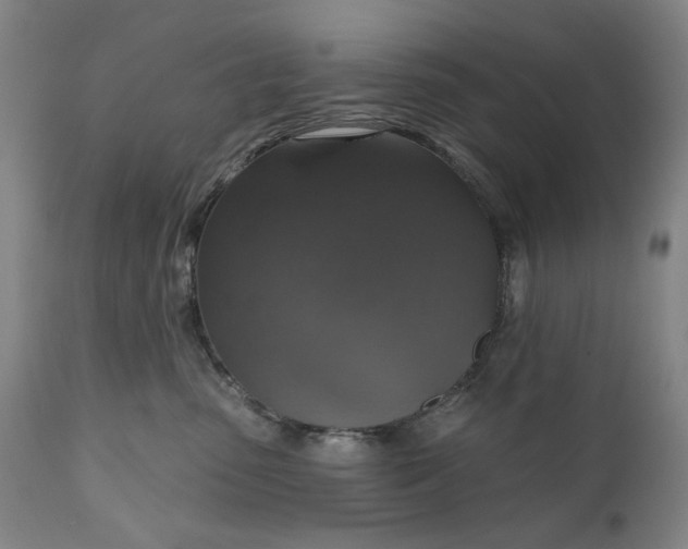 X0000111170475200907151303