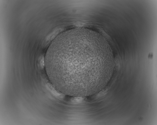 X0000111170479200907151304