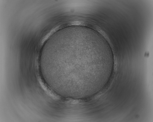 X0000111170482200907151303