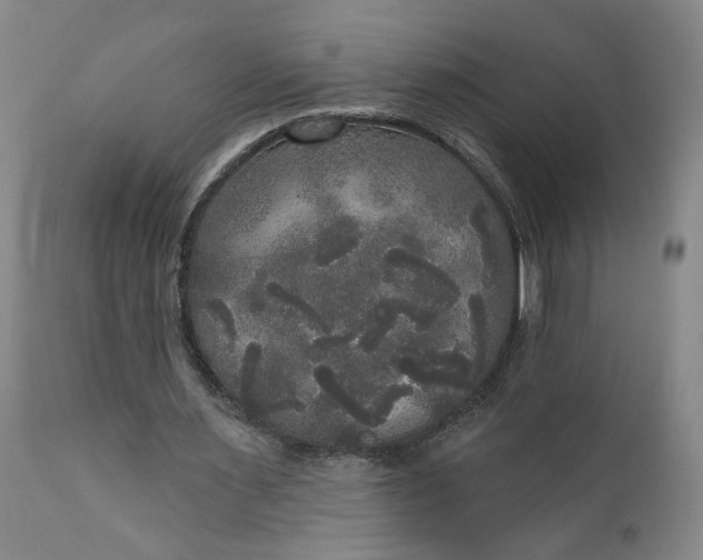 X0000111170483200907151303