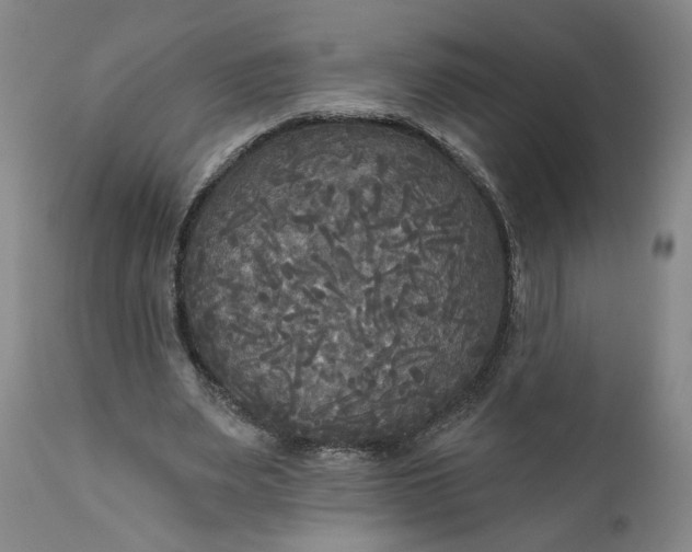 X0000111170487200907151303