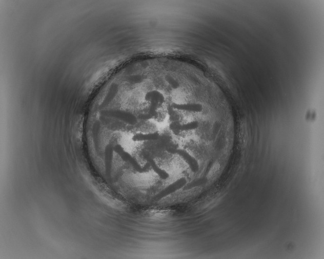 X0000111170495200907151303