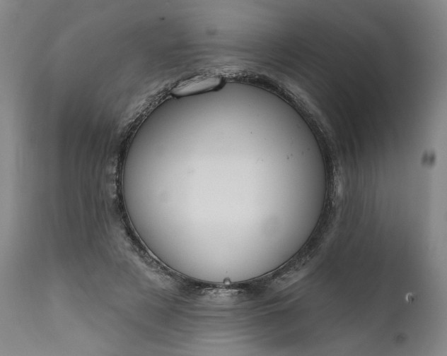 X0000111170497200907151303