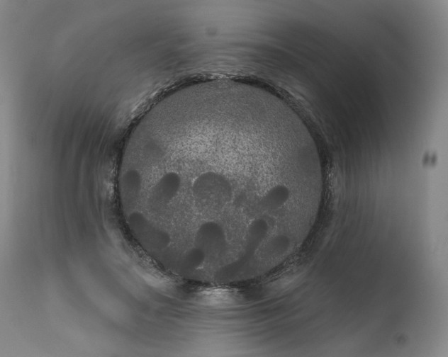 X0000111170499200907151303