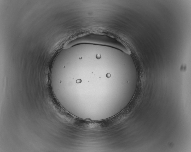 X0000111170501200907151303