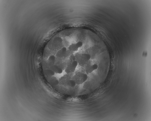 X0000111170503200907151303