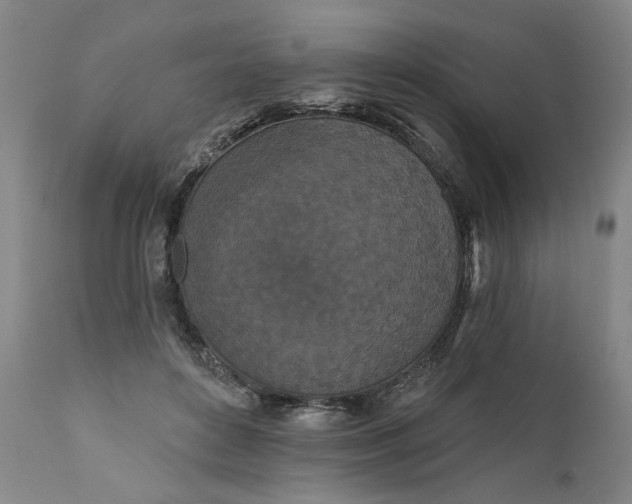 X0000111170504200907151303