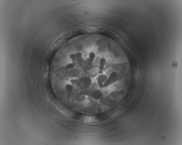 X0000111170507200907151303