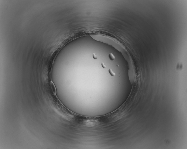 X0000111170508200907151303