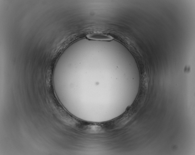 X0000111170509200907151303