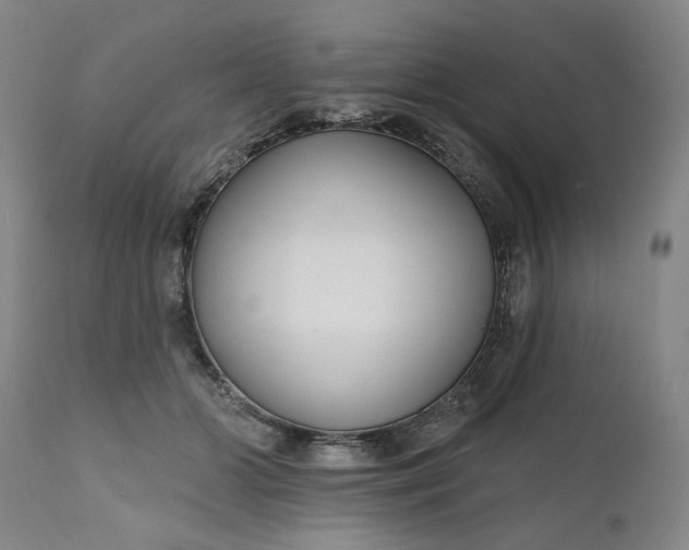 X0000111170510200907151302