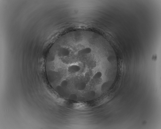 X0000111170511200907151302