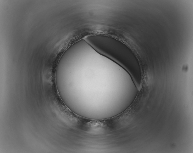 X0000111170512200907151302