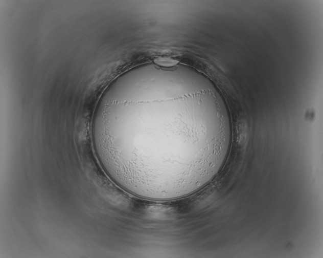 X0000111170515200907151302