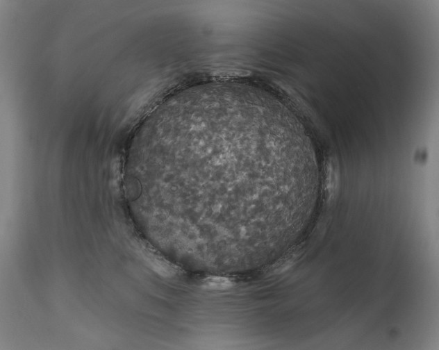 X0000111170519200907151302