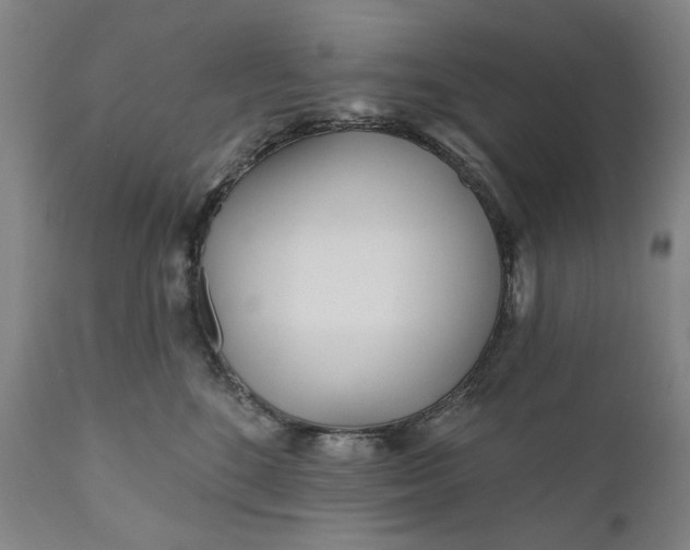 X0000111170520200907151302