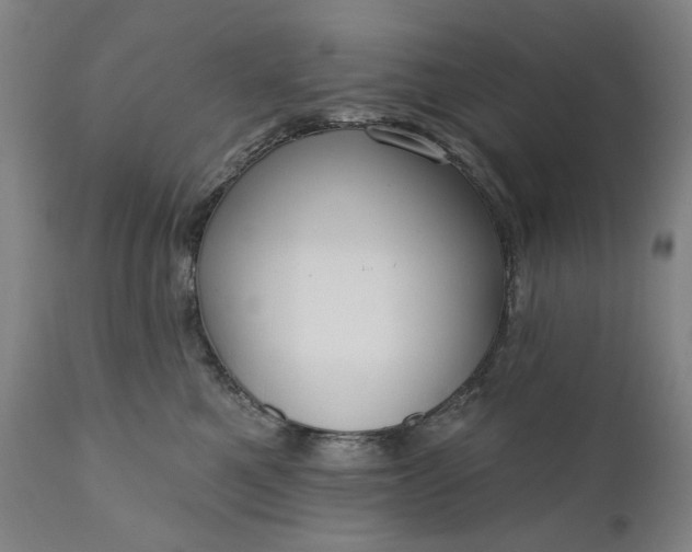 X0000111170521200907151302