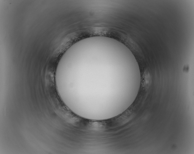 X0000111170522200907151302