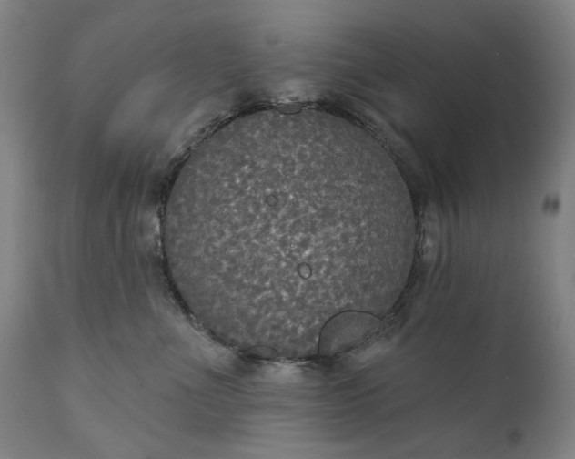 X0000111170523200907151302