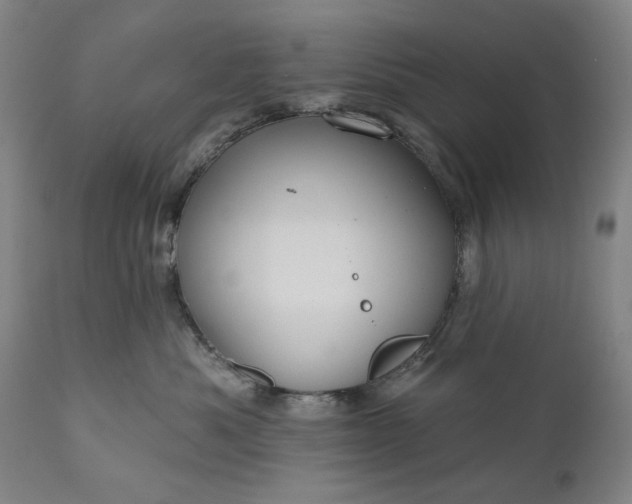 X0000111170525200907151302