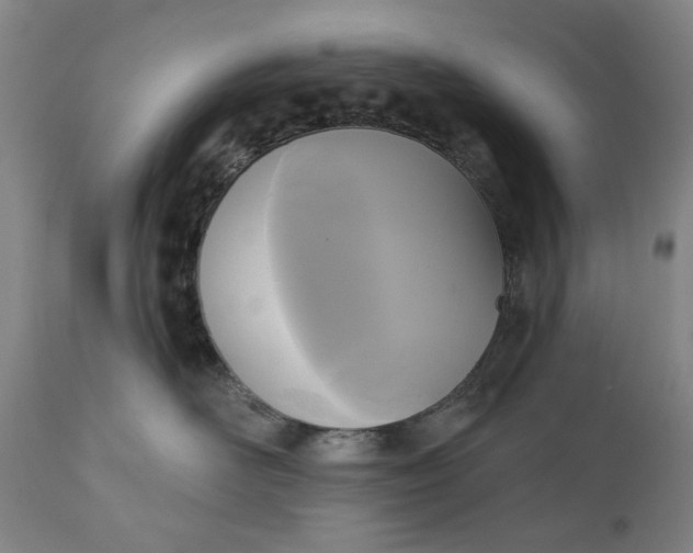 X0000111170526200907151302