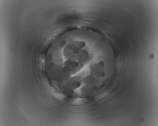 X0000111170527200907151302