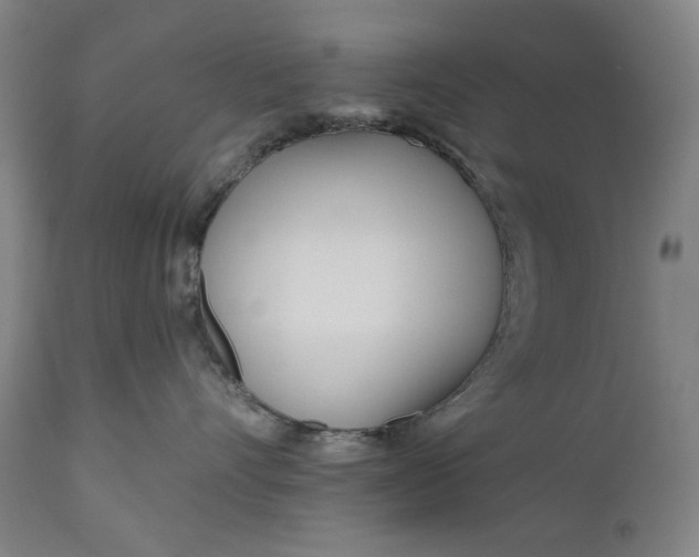 X0000111170528200907151302